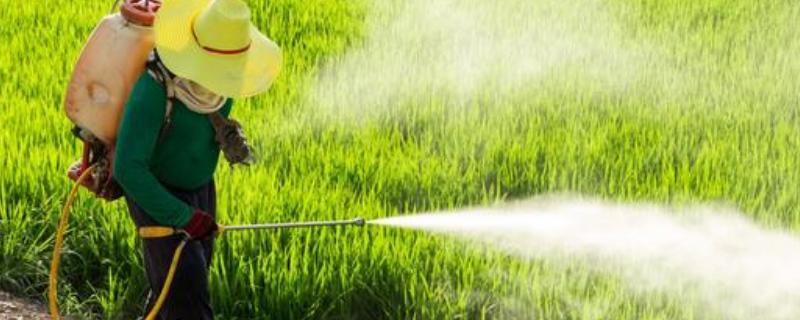 甲维盐能和除草剂混用吗，甲维盐使用方法