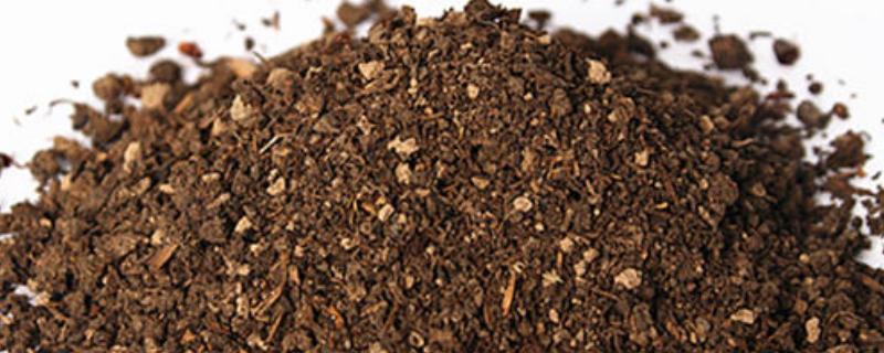 菌剂和菌肥的区别,能混用吗?哪一种更好