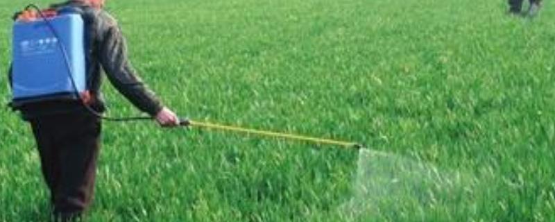 易保杀菌剂的作用,可以和什么药混用