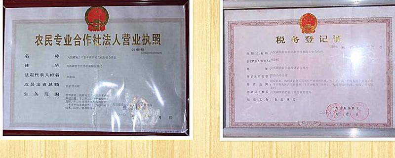 注册农村养殖合作社需要什么条件,有什么好处