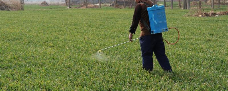 马拉硫磷农药杀什么虫，什么地方有卖