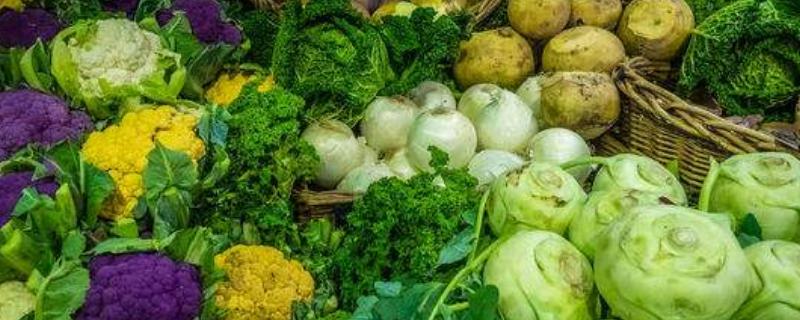 甲基硫菌灵的作用和使用方法,使用禁忌