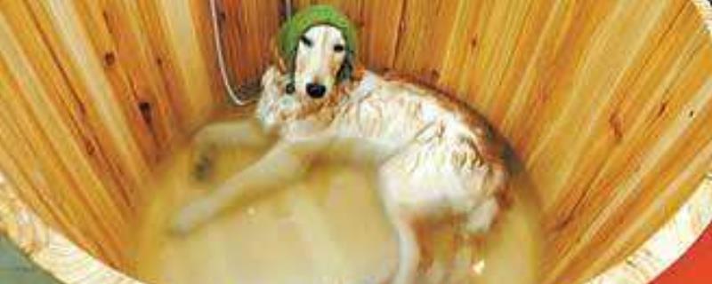 一支双甲脒放几斤水,附使用方法