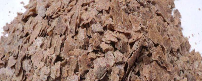 麻酱渣属于什么肥料,适合什么花