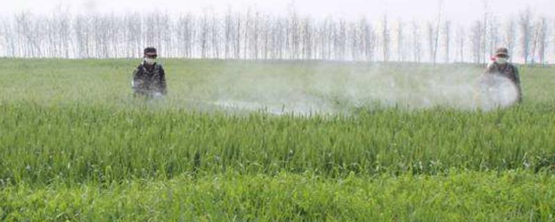 络氨铜配什么药使用,坏处是什么