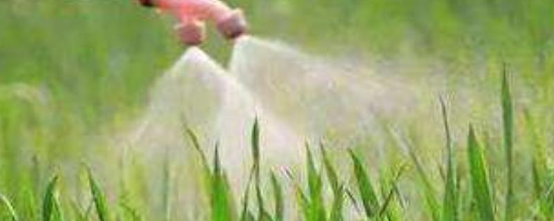 农药是酸性还是碱性,怎么区分