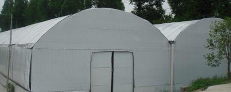 大棚黑白膜哪面朝上,优缺点是什么