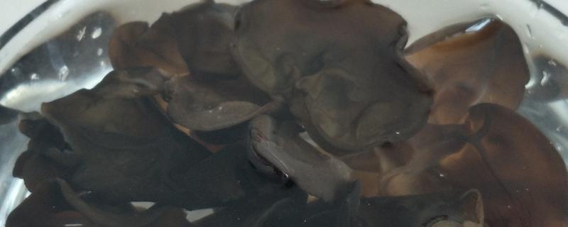 米酵菌酸高温能杀死吗，什么可以杀死它