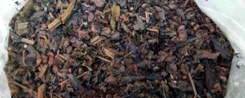 中药渣如何发酵做肥料,能当养花的土用吗