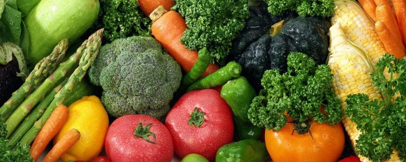 高速绿色通道免费品种,如何申请