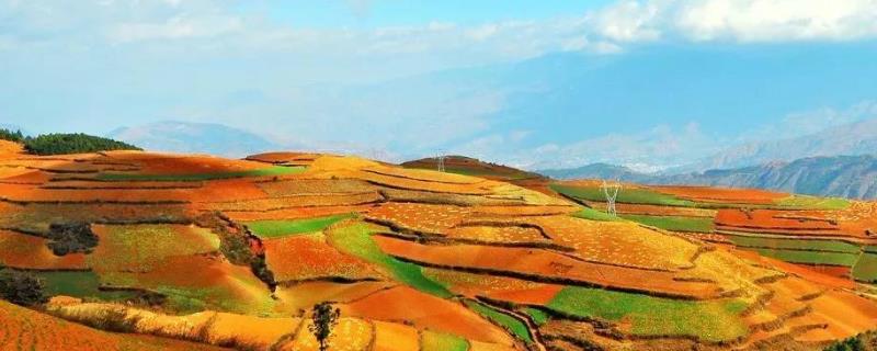 改良酸性土壤的是什么物质,用生石灰还是熟石灰