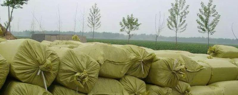 青储袋装可以放多久,如何排出空气