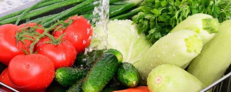 去除果蔬农残的三板斧是,果蔬农残最大去除率是多少