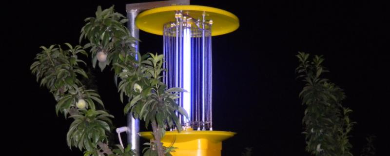 黑光灯诱捕法,和取样器取样法的区别