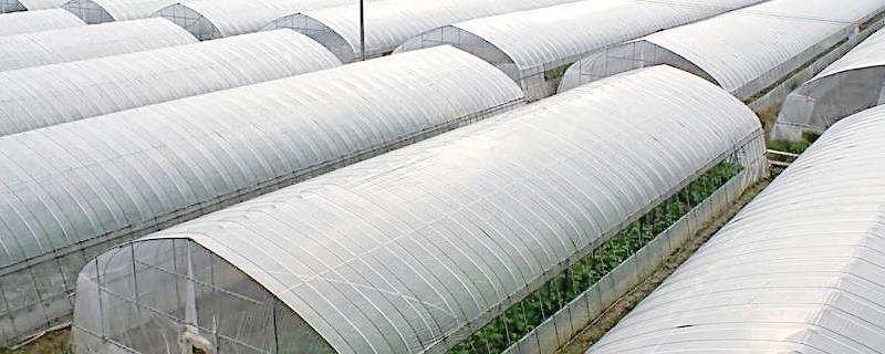 气肥是什么,主要成分是什么