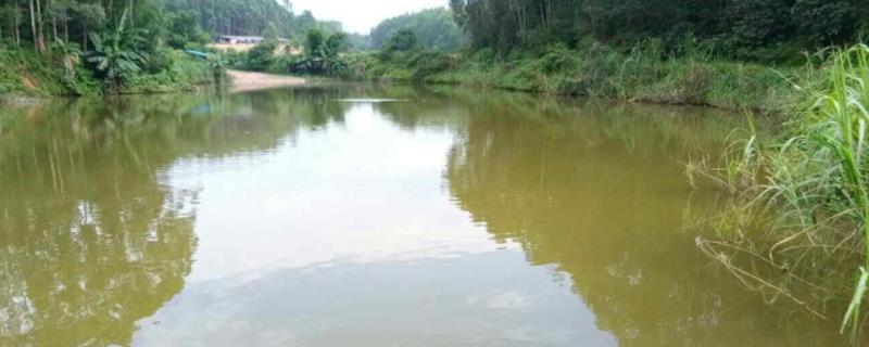 鱼塘结冰,鱼会不会缺氧,农村鱼塘怎么建