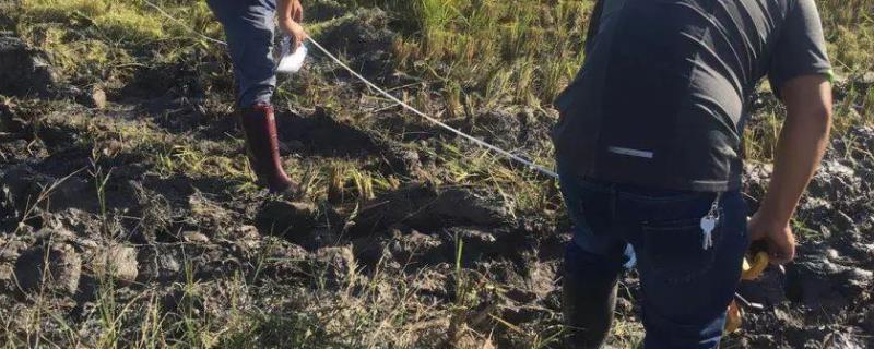 一亩地怎么算出来长宽,一头宽一头窄怎么算亩数