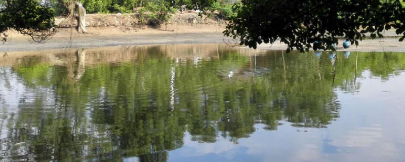 新鱼塘最土防漏水方法,挖土机挖鱼塘是怎样挖的