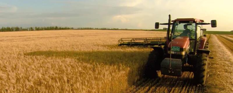 农业互助合作发展的原则,生态循环农业发展中应该注意的问题有