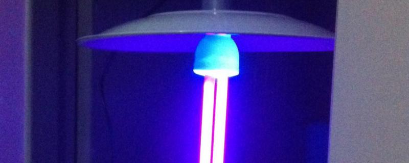 黑光灯可以诱杀哪些害虫,是什么原理