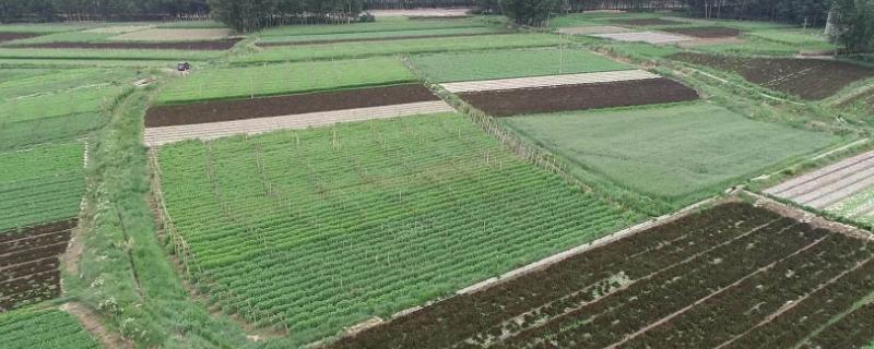 永久基本农田多少亩,永久基本农田和基本农田的区别