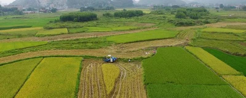 养殖业占用基本农田怎么办?，养殖业营业执照怎么办理