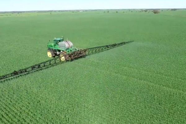 旱稻除草剂有哪些