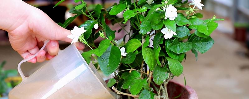 多菌灵一克配多少水,不可以和什么混用