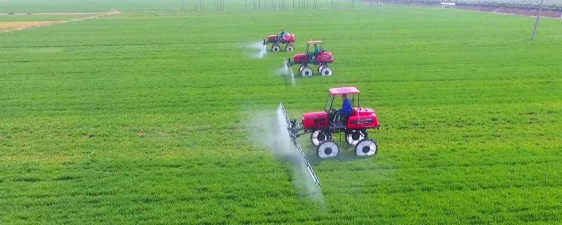 2甲双氟除什么草,什么时候用效果佳