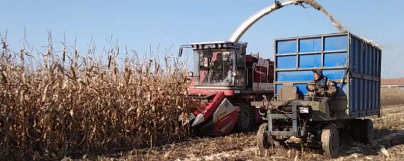 玉米收割机保养与维修，附工作原理
