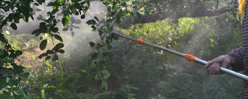 开春清园打什么药,冬季清园的时间是什么时候