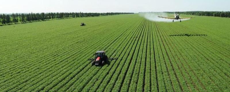 未来现代农业五种业态是什么,现代农业的三大体系