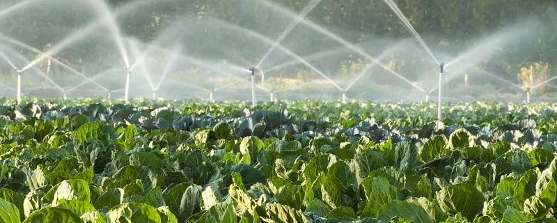 农业是用水大户农业用水量主要用于什么,用水大户是什么产业