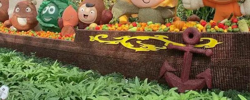 休闲农业是在什么的基础上又增加了旅游度假观光的职能，休闲农业的类型