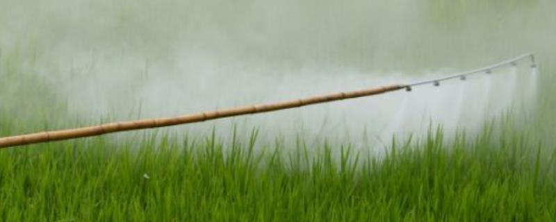 天达2116的作用与用法,在大蒜上如何使用