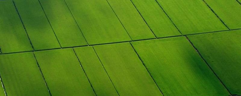 影响农业区位的最主要自然因素,农业生态系统和自然生态系统的区别