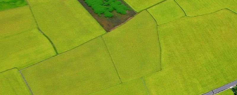 农业四大功能,农业是第几产业