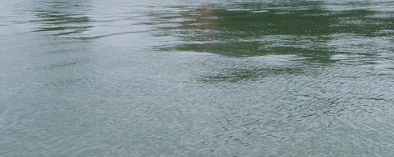 缺水地区优先发展什么农业,缺水地区是怎样节约水的