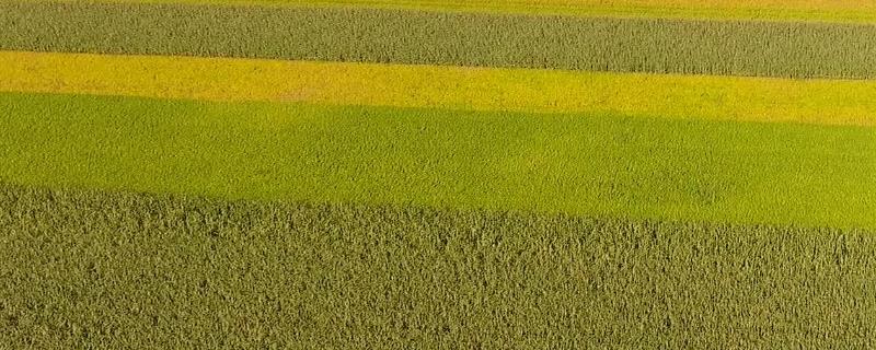 混合农业区位条件，农业生态系统和自然生态系统的区别