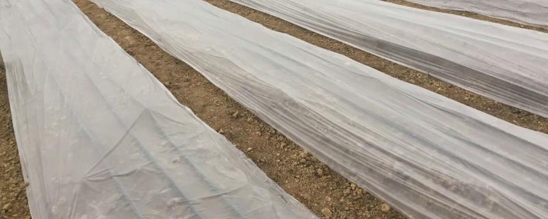 农用薄膜管理办法,农用薄膜的作用