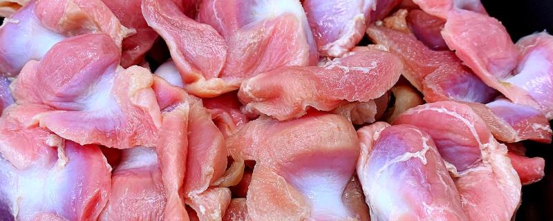 鸡胗上面的黄膜叫什么,鸡胗是鸡的什么器官