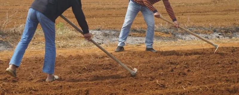 为什么种地之前要翻土,翻土的工具有哪些