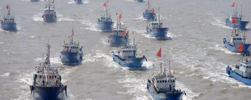 舟山渔场形成的原因，舟山渔场建在哪个海域