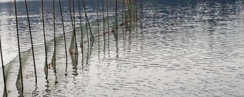 渔场形成的条件,渔场如何管理