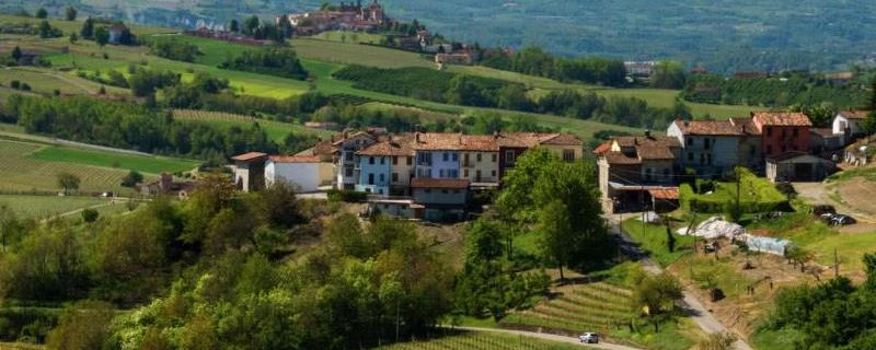 地中海农业特点,主要农作物有哪些