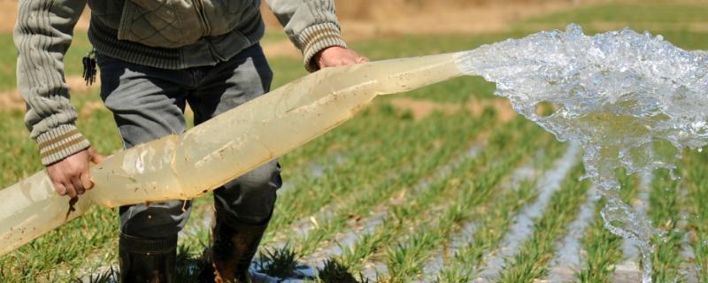 农业气象要素有哪些,农业生产与气象条件的关系