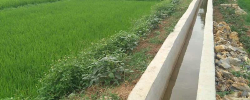 农业用水量占经济用水量,农业用水包括哪些