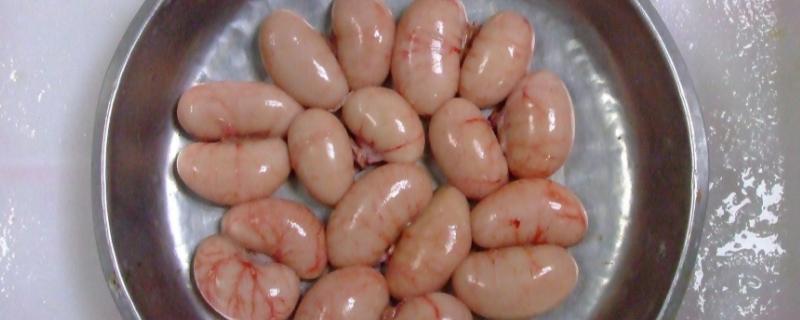 母鸡有鸡腰子吗,鸡腰子是哪个器官