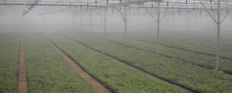 哪种方式不算节水灌溉,中国三大灌溉区是哪里