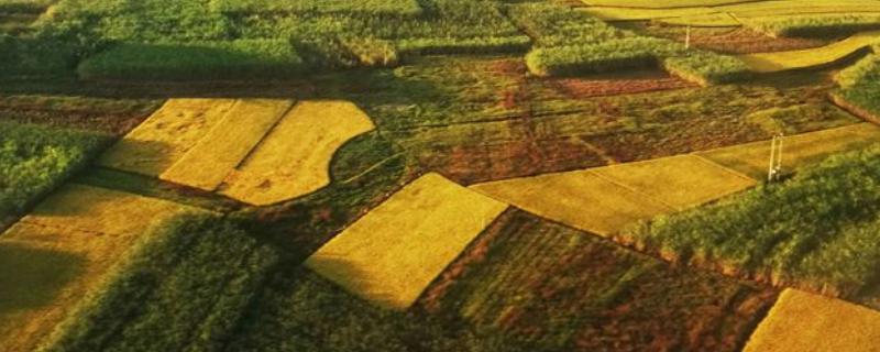 农业包括生产和两方面,包括渔业和畜牧业吗